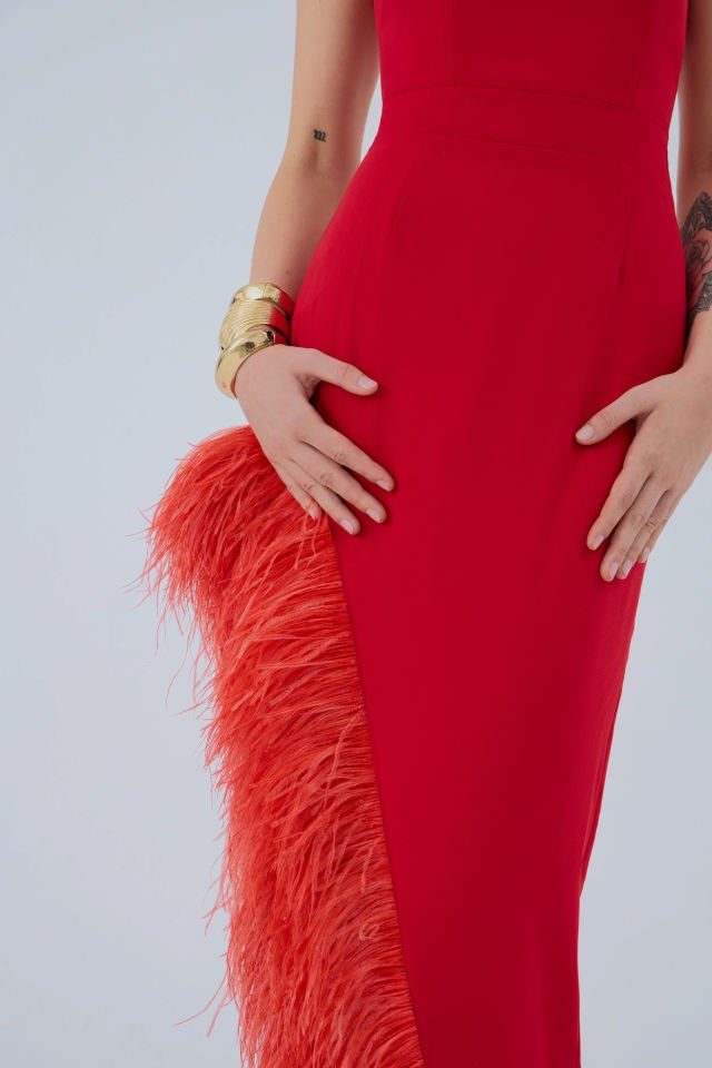 Red Bird