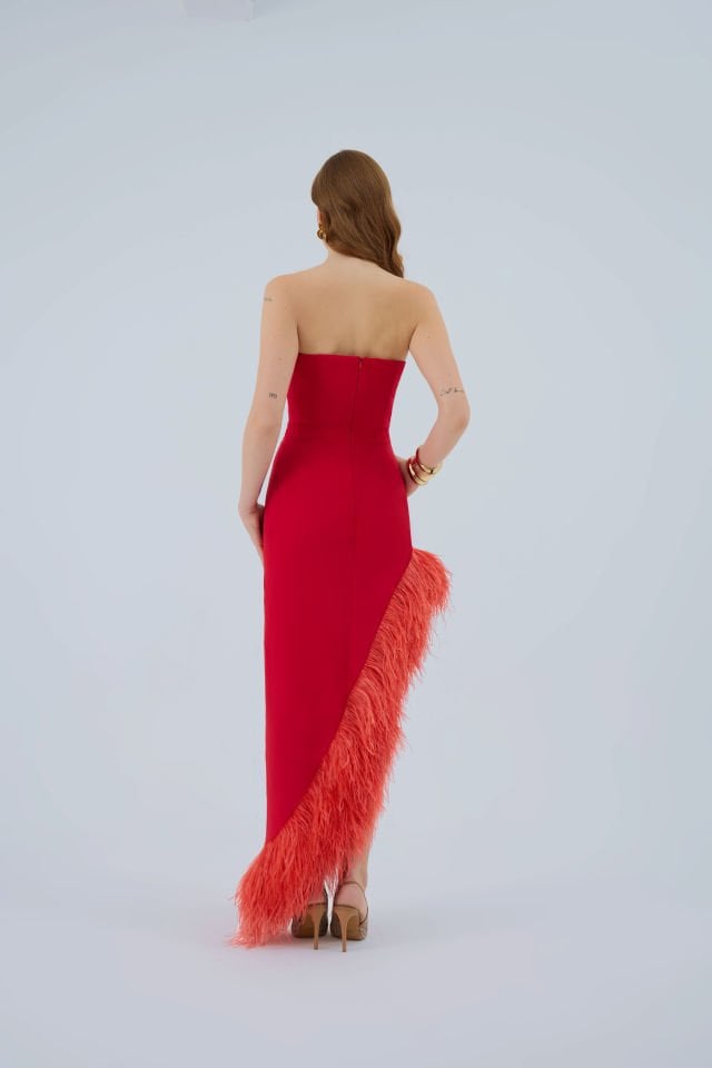 Red Bird