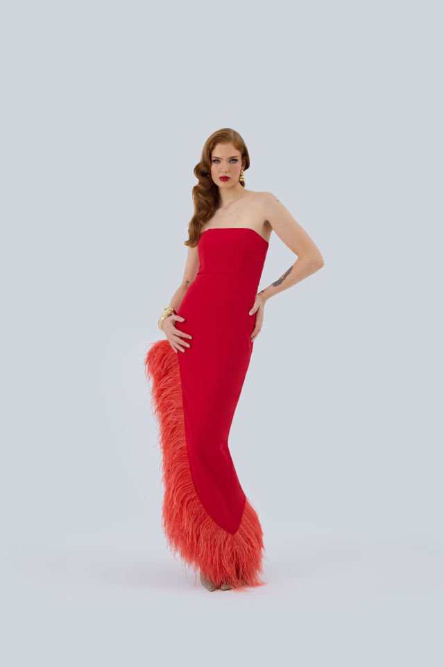 Red Bird
